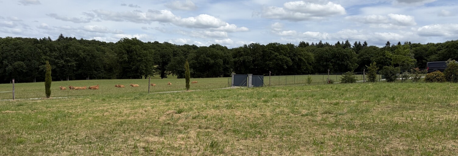Terrain  1252 m² à vendre à Saint-Just-le-Martel (87590)