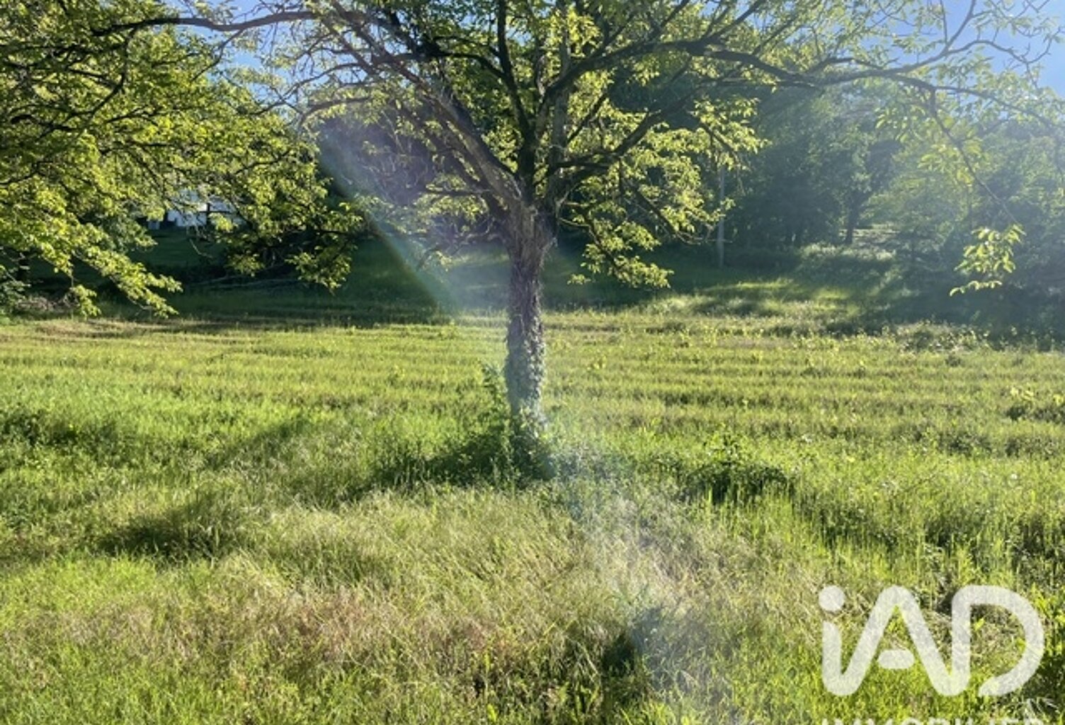 Vente Terrain à bâtir 4 187 m&sup2; — photo 1