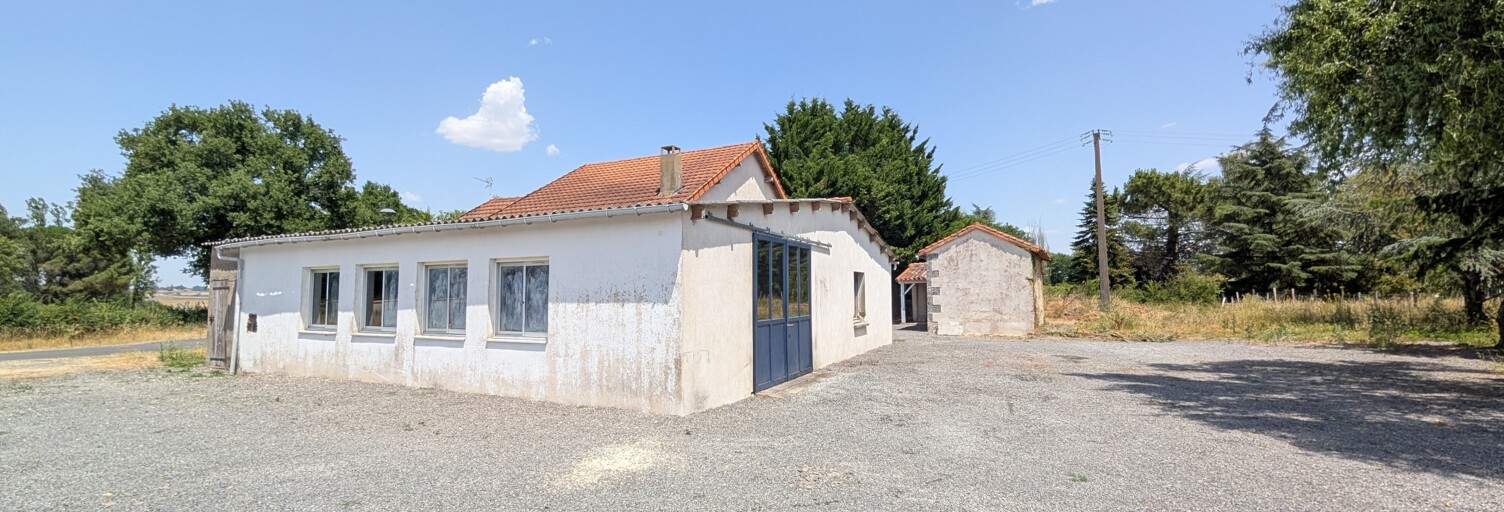 Photo N° 2