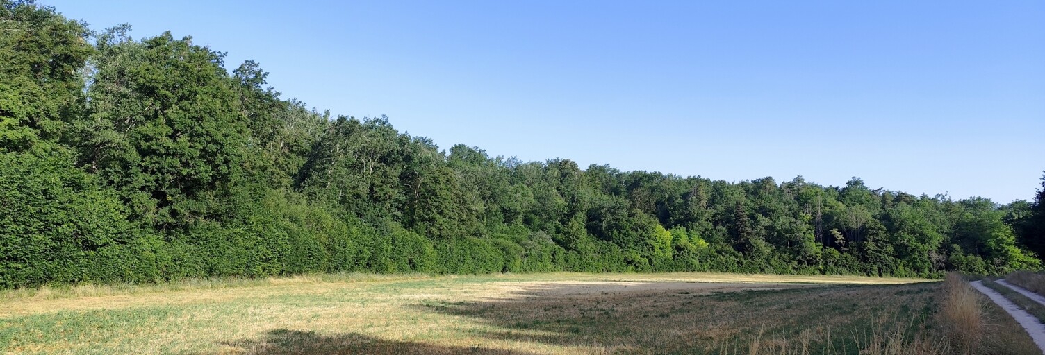 Terrain  102550 m² à vendre à Andryes (89480)