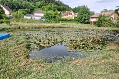 Terrain  62000 €