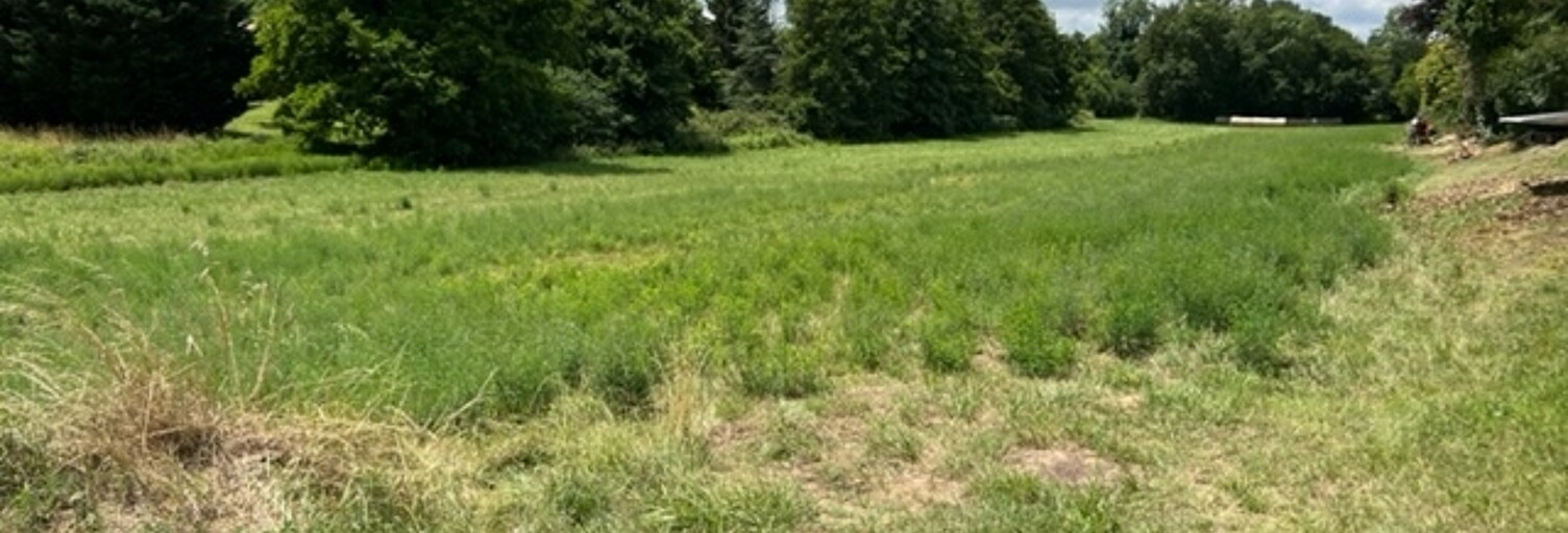 Terrain  3121 m² à vendre à Montaut (31410)