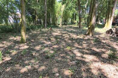 Terrain  200000 €