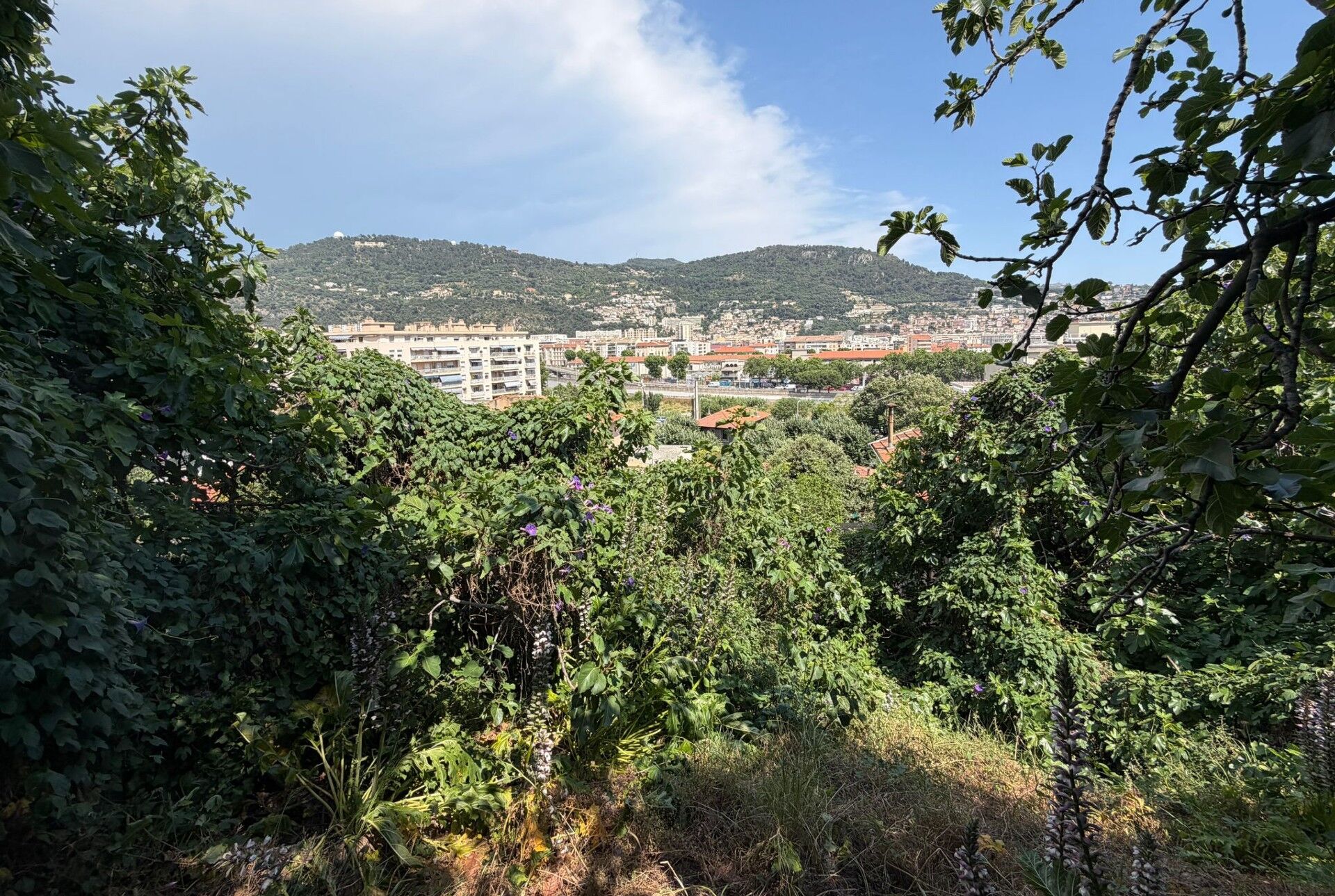 Photo Terrain Nice