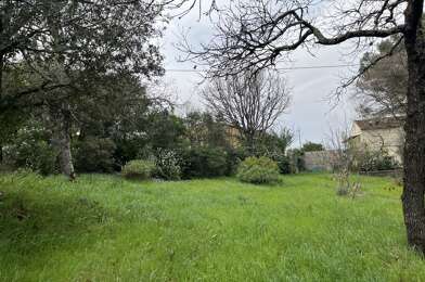 Terrain  159000 €