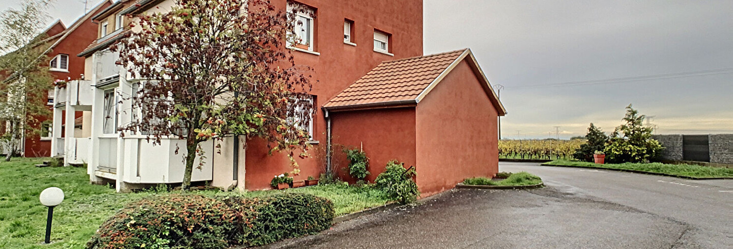 Appartement 3 Pièces 63 m² à louer à Scherwiller (67750)