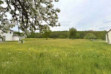 Terrain  146960 €