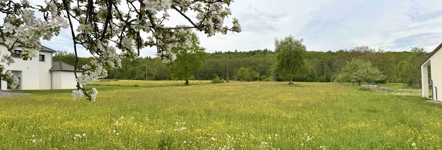 Terrain  1941 m² à vendre à Durmenach (68480)