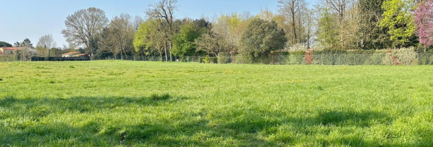 Terrain  381 m² à vendre à Saint-Georges-du-Bois (17700)