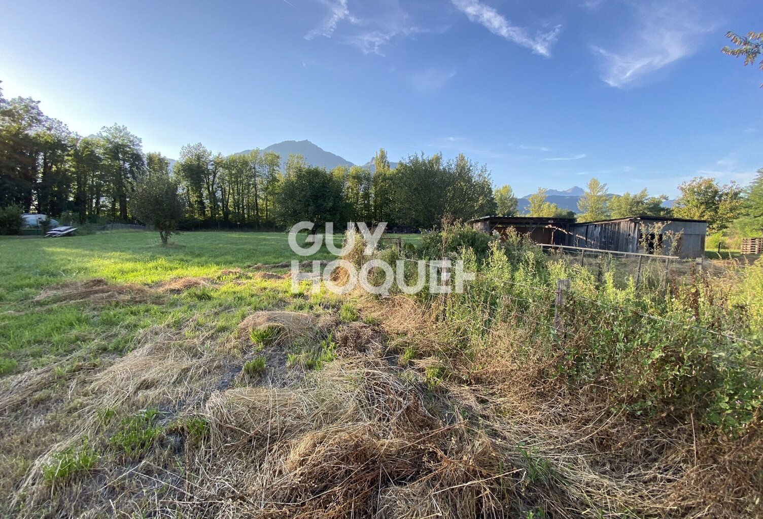 terrain — photo 1