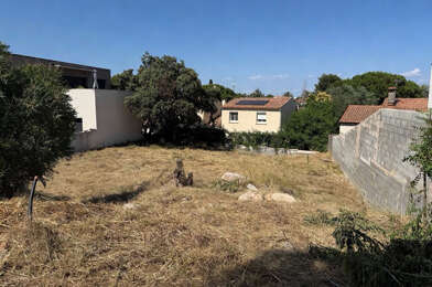 Terrain  250000 €