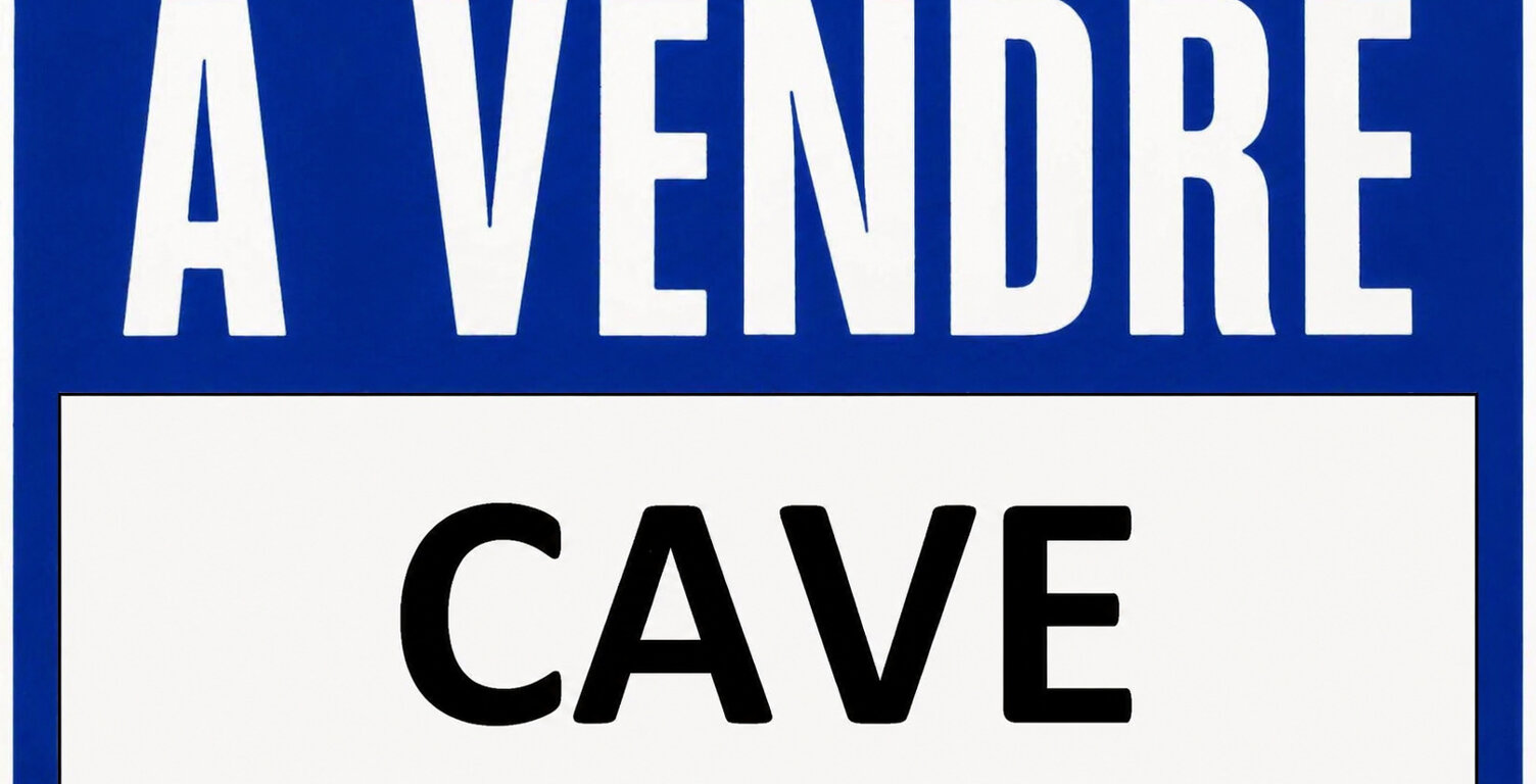 Cave 2.9 m2 rue commerçante — photo 1