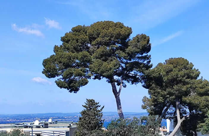 Appartement 71m2 , 3 pièces , dernier étage dans résidence moderne, grande terrasse — photo 5
