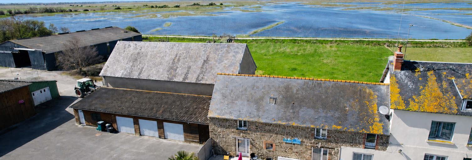 Maison 12 Pièces 253 m² à vendre à Courtils (50220)