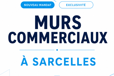 Commerce  235350 €