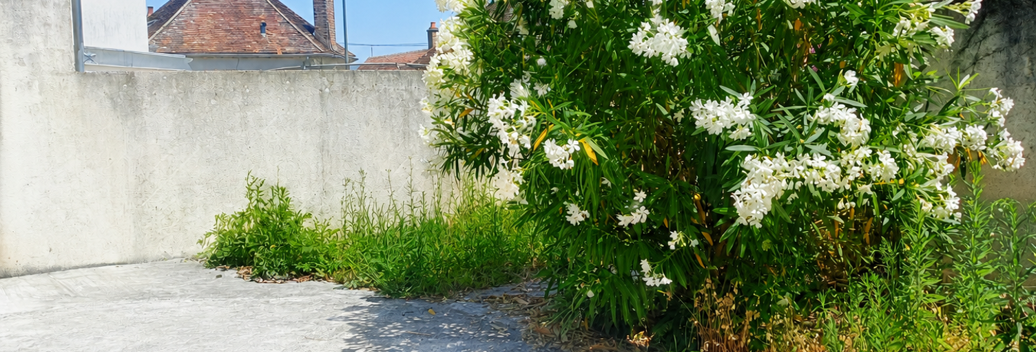 Photo N° 2
