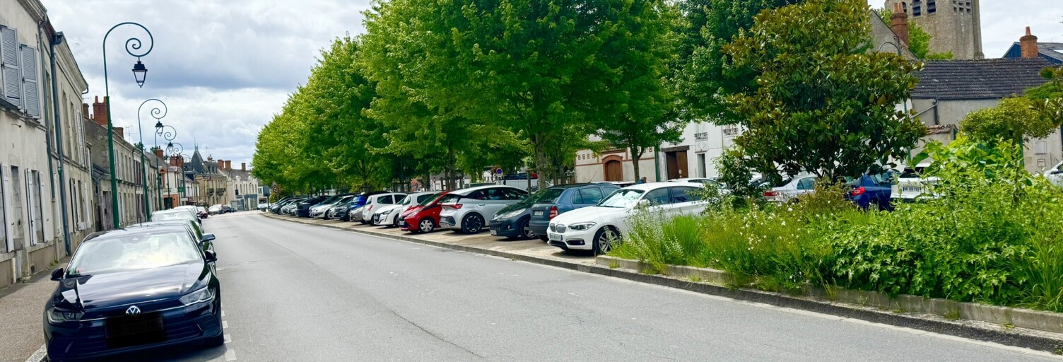 Appartement 1 Pièce 29 m² à vendre à Jargeau (45150)