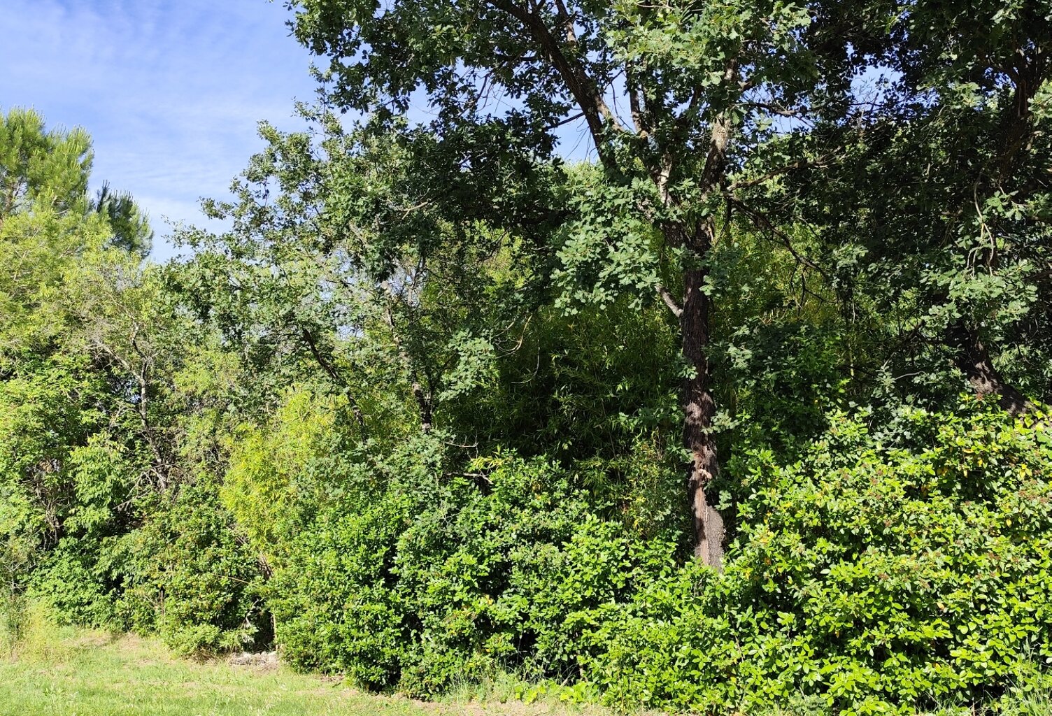 Vente Terrain à bâtir 500 m&sup2; — photo 1