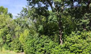 Terrain  500 m² à vendre à Crespian (30260)