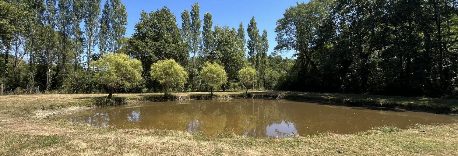 Terrain  7530 m² à vendre à La Garnache (85710)