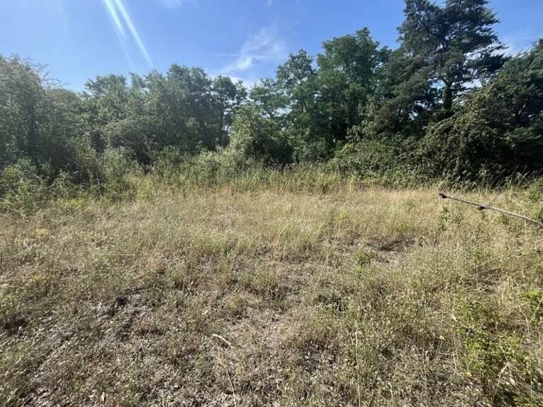 Terrain non constructible de 0 pièces principales — photo 1