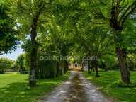 MURET-OX – ÉLÉGANTE DEMEURE DE CARACTÈRE DES ANNÉES 1930 AU CŒUR D’UN PARC ARBORÉ DE 4 707 m² — photo 4