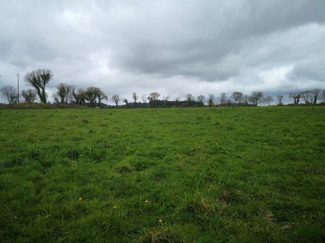 Proche du Château et de l’Étang de Corlay , ensemble en pierre de 200 m² sur 3.35 hectares — photo du bien