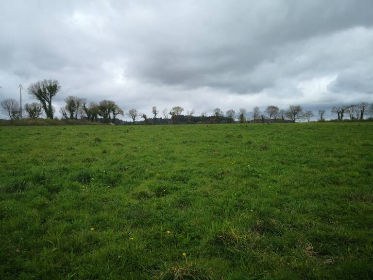Proche du Château et de l’Étang de Corlay , ensemble en pierre de 200 m² sur 3.35 hectares — photo 1