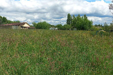 Terrain  28000 €
