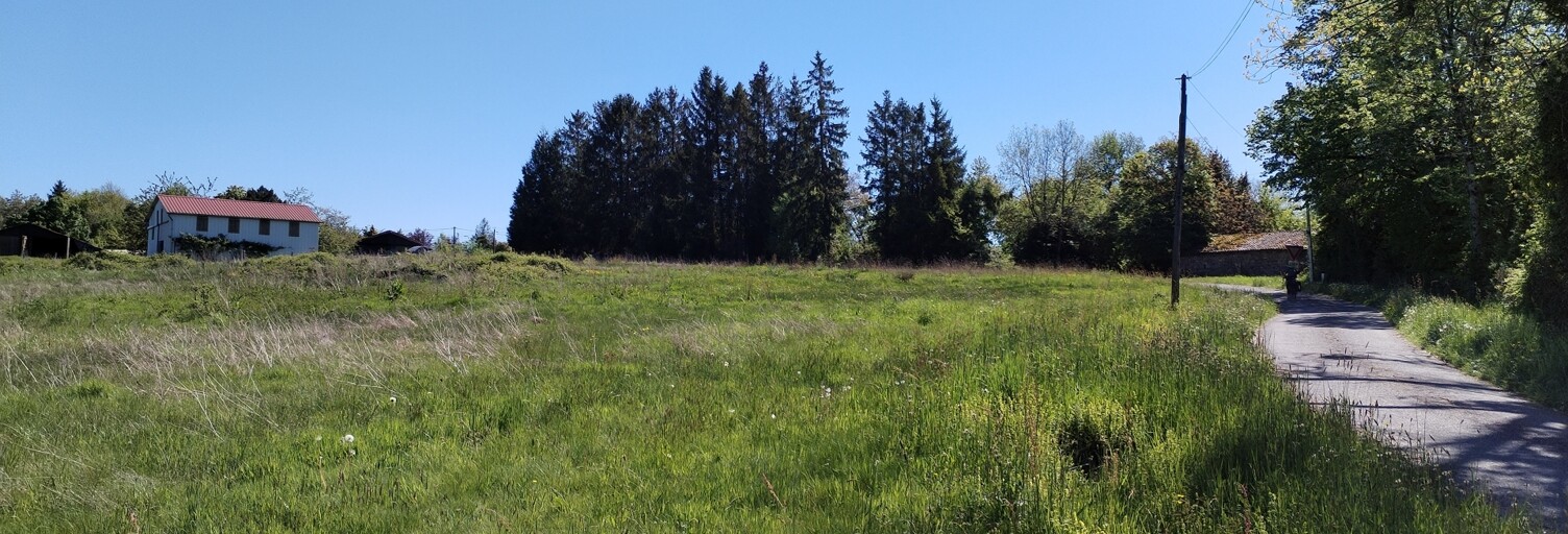 Photo N° 2