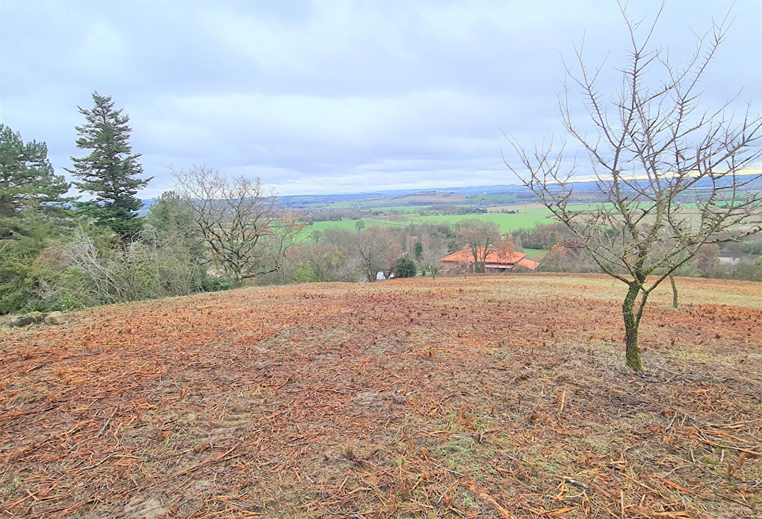 Giroussens  Rare Beau terrain de 1051 m2 en pente avec vue imprenable sur toute la vallée — photo 1