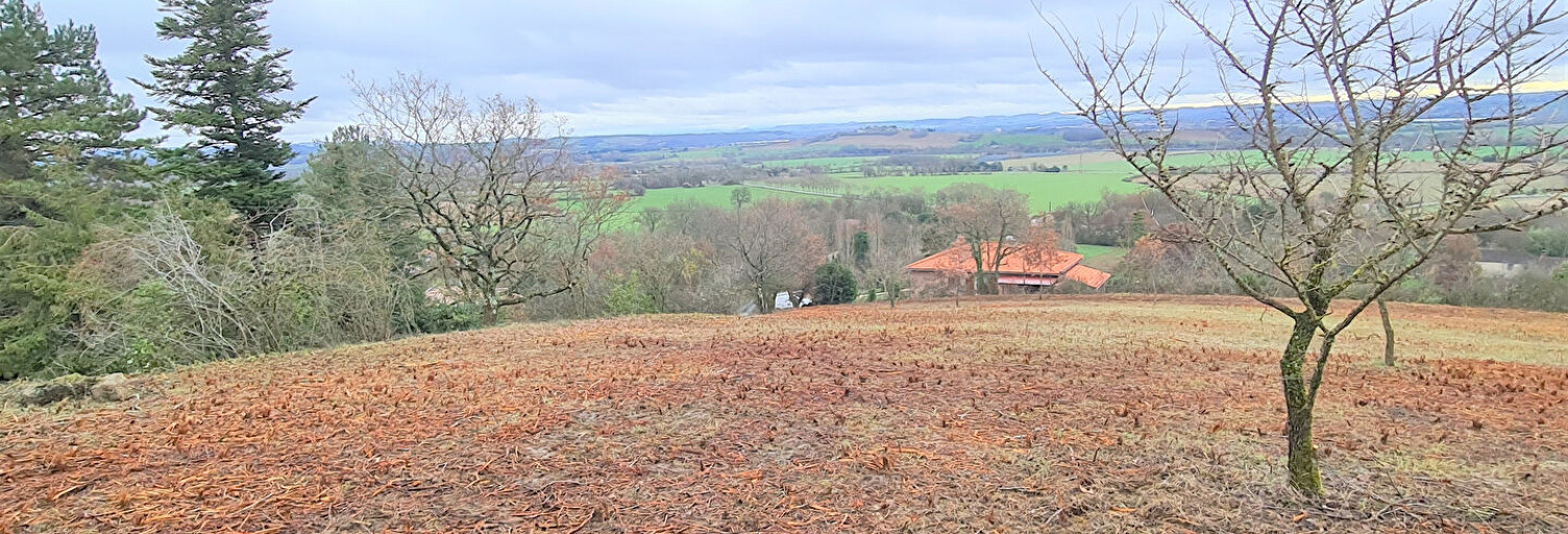 Terrain  1051 m² à vendre à Giroussens (81500)
