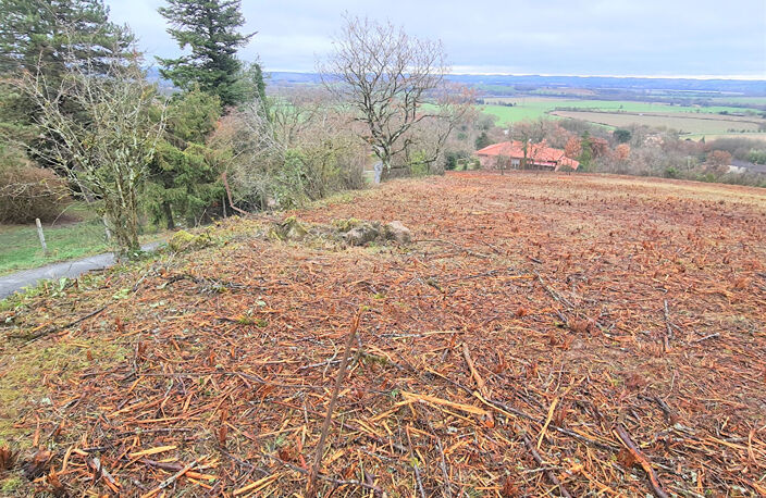 Giroussens  Rare Beau terrain de 1051 m2 en pente avec vue imprenable sur toute la vallée — photo 5