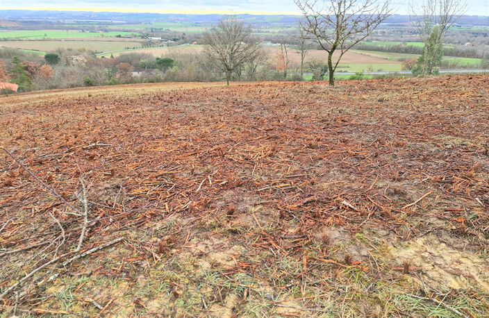 Giroussens Grand terrain  dominant de 1954 m2 proche village cadre résidentiel — photo 4