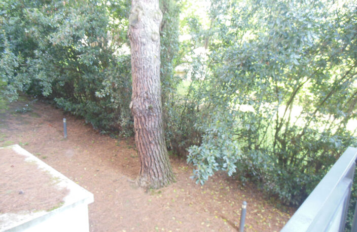 Toulouse 31500 JOLIMONT Sans frais agence Agréable T3 récent de 65.6m², terrasse de 9.55m² Très belle vue arborée parking en sous sol — photo 3
