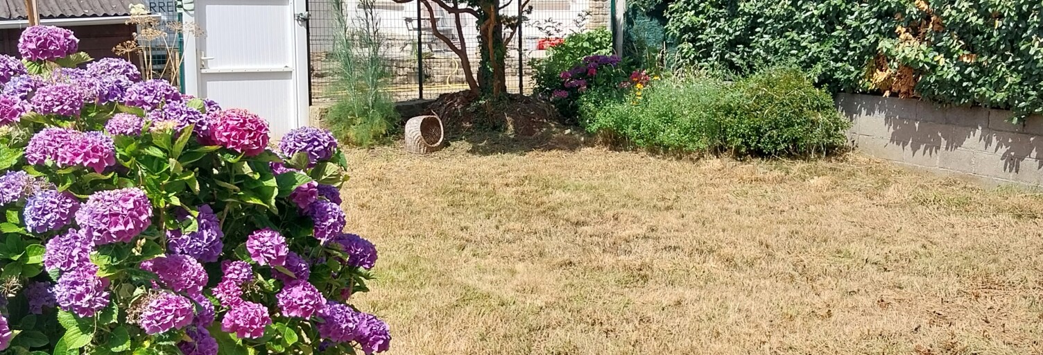 Photo N° 2
