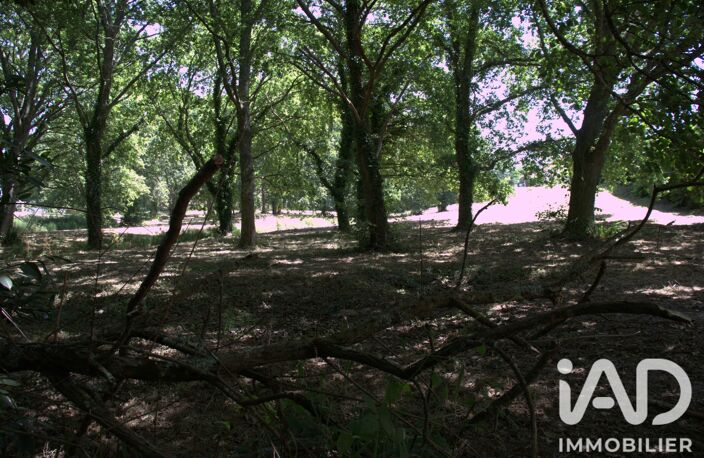 Vente Terrain à bâtir 3 802 m&sup2; — photo 4