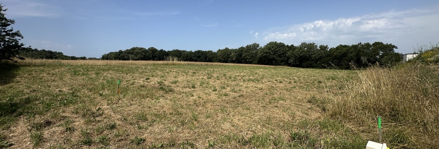 Terrain  805 m² à vendre à Plomelin (29700)