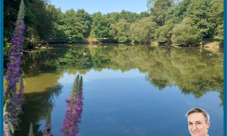 Terrain  8200 m² à vendre à Sèvremoine (49710)