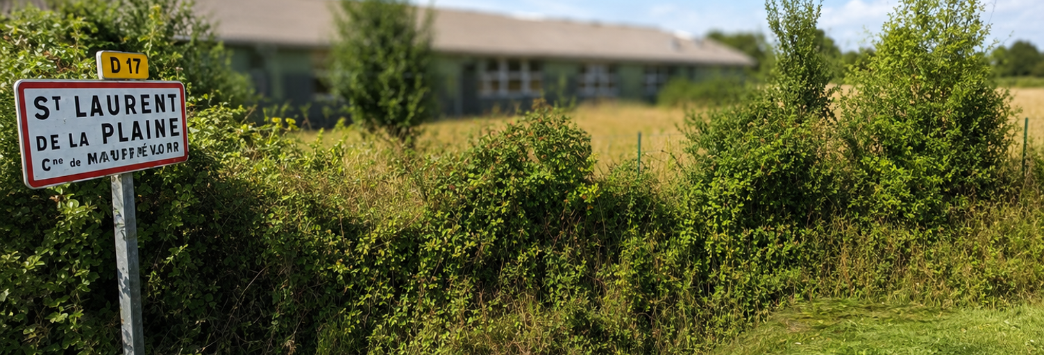 Terrain  3200 m² à vendre à Mauges-sur-Loire (49290)