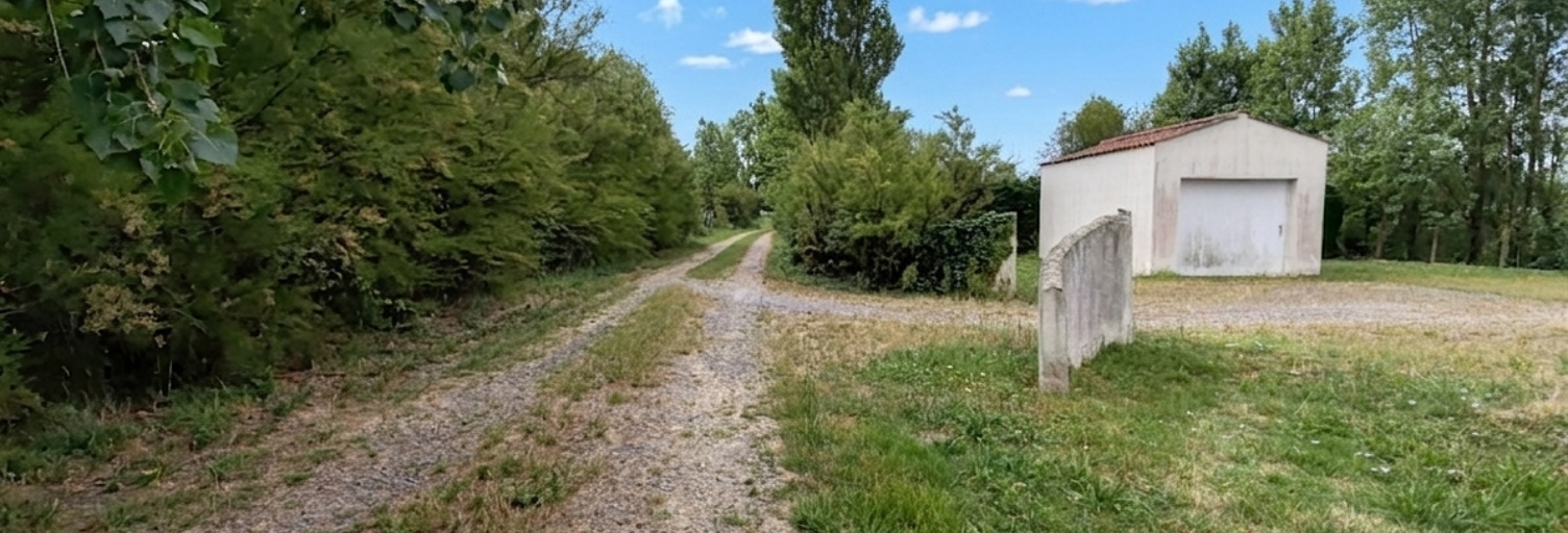 Photo N° 2