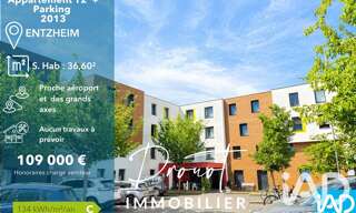 Appartement 2 Pièces 36 m² à vendre à Entzheim (67960)
