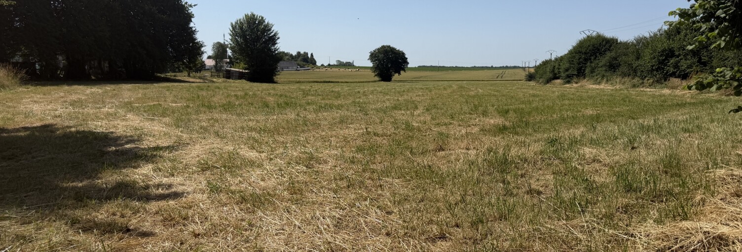 Terrain  2200 m² à vendre à Viels-Maisons (02540)