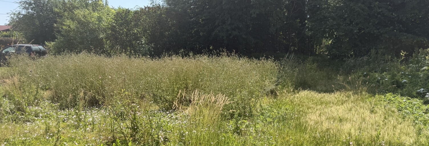 Terrain  900 m² à vendre à Viels-Maisons (02540)