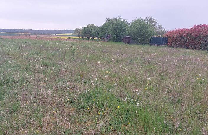 Vente Terrain à bâtir 4 955 m&sup2; — photo 3