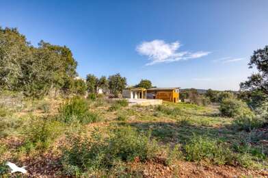 Terrain  309000 €