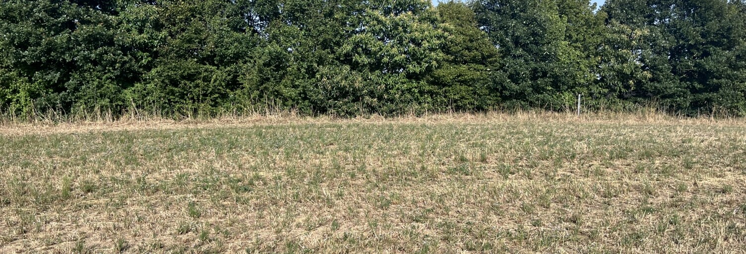 Terrain  835 m² à vendre à Hémonstoir (22600)