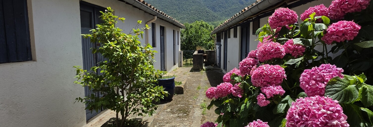 Photo N° 2