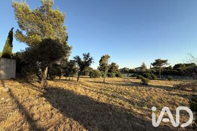 Terrain  339000 €