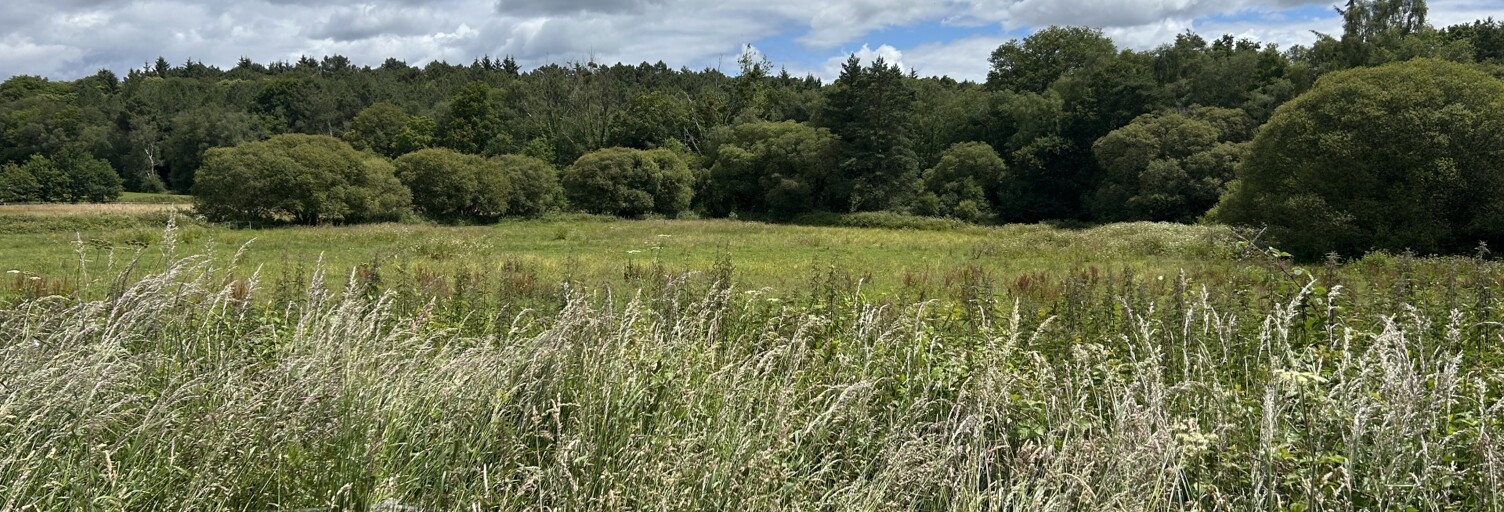 Terrain  61200 m² à vendre à Plumieux (22210)